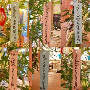 C8873118-3AA0-4EAF-AB9D-E015EABD387B